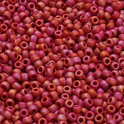 TOHO 6/0 Round Beads X-SEED-TR06-0768-1