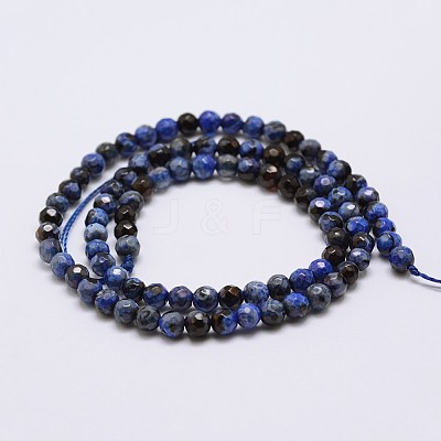 Faceted Natural Fire Crackle Agate Beads Strands X-G-F447-4mm-A19-1