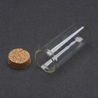 Glass Dome Cloche Cover X1-AJEW-P043-L-1