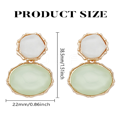 1 Pair Resin Dangle Stud Earrings EJEW-LP0004-82B-1