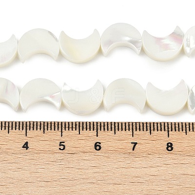Natural White Shell Beads Strands SSHEL-10X12-1