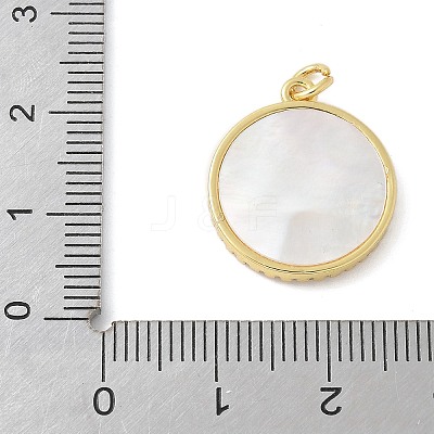 Brass Micro Pave Cubic Zirconia Pendants KK-K298-16G-02-1