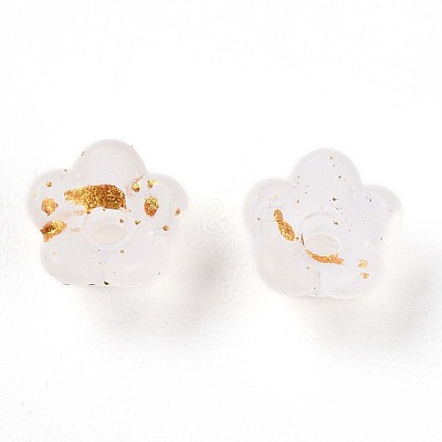 Frosted Transparent Acrylic Beads OACR-N137-72A-1