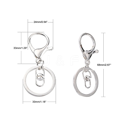 Iron Alloy Lobster Claw Clasp Keychain X-KEYC-D016-S-1