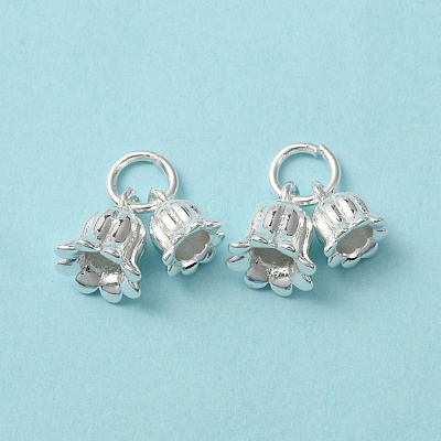Rack Plating Brass Charms KK-C020-02S-1