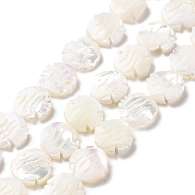 Natural Trochid Shell Beads Strands SSHEL-G023-16B-1
