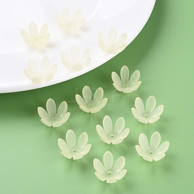 Transparent Acrylic Beads MACR-S373-47-D03-1