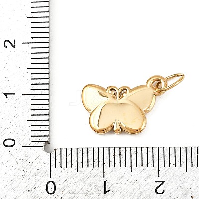 304 Stainless Steel Charms STAS-K307-07C-G-1