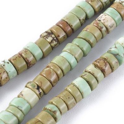 Natural Magnesite Beads Strands TURQ-L030-04A-02-1