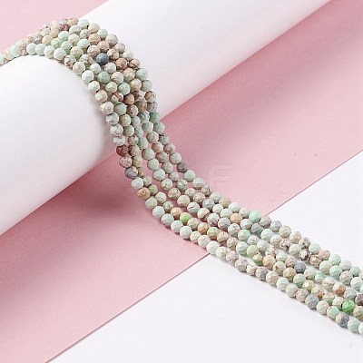 Natural Imperial Jasper Beads Strands G-L578-A02-1