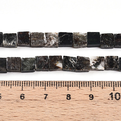 Natural Biotite Beads Strands G-N346-05A-01-1