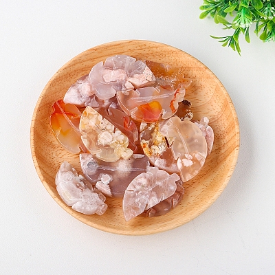 Natural Cherry Blossom Agate Display Decorations G-PW0004-28-1