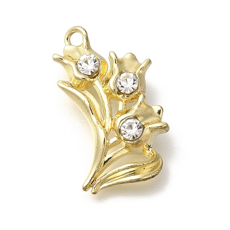 Alloy Pendants FIND-Z067-05G-06-1