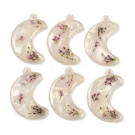 Epoxy Resin Pendants RESI-S09-01B-RS-1