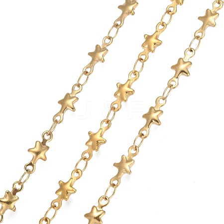 304 Stainless Steel Link Chains STAS-P219-74G-1
