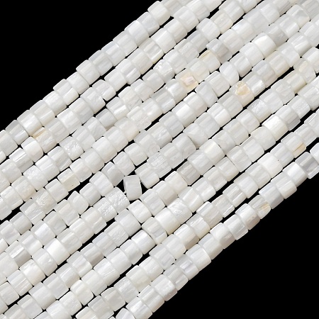 Natural Freshwater Shell Beads Strands SHEL-K006-72C-1