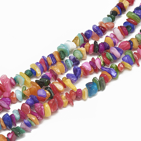 Freshwater Shell Beads Strands X-SHEL-S270-01-1