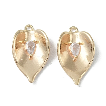 Brass Cubic Zirconia Pendants KK-H482-12G-03-1