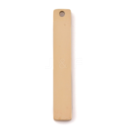304 Stainless Steel Pendants STAS-P245-46G-1