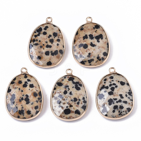 Natural Dalmatian Jasper Pendants G-T131-08G-1