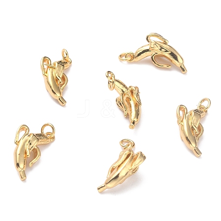 Brass Pendants KK-O140-17G-1