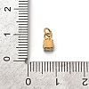 304 Stainless Steel Micro Pave Cubic Zirconia Pendants STAS-R167-01C-G-3
