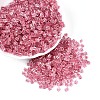 Transparent Inside Colours Glass Seed Beads SEED-T007-13F-3