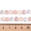 Electroplate Glass Beads Strands EGLA-N022-03A-A08-4