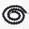 Natural Black Onyx Beads Strands G-D710-10mm-06-2