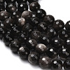 Natural Silver Obsidian Beads Strands G-C280-B08-8mm-4