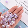 Transparent Acrylic Beads LS-TACR-S152-02D-SS2114-5