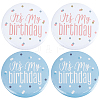 4Pcs 2 Colors It's My Birthday Tinplate Brooches JEWB-CN0001-13-1