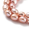 Natural Cultured Freshwater Pearl Beads Strands PEAR-P062-29G-4