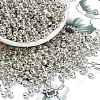 6/0 Glass Seed Beads X-E0690044-1