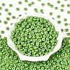 Opaque Colours Glass Seed Beads SEED-N007-39A-03-2