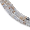 Natural Angelite Beads Strands G-RM2025-A31-2mm-4