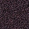 MIYUKI Round Rocailles Beads X-SEED-G007-RR0460-3