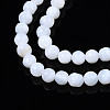Natural Freshwater Shell Beads Strands X-SHEL-N003-24-A01-3