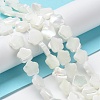 Natural Trochus Shell Beads Strands X-BSHE-P033-07-3