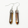 Fashion Natural & Synthetic Gemstone Dangle Earrings EJEW-G073-M-2
