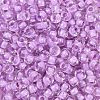 TOHO 3/0 Round Beads SEED-TR03-0943-2