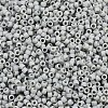 MIYUKI Delica Beads SEED-MY11-DB2281-2