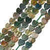 Natural Indian Agate Beads Strands G-M403-A57-02-2