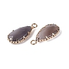 Natural Agate(Dyed & Heated) Faceted Pendants G-Q606-104G-03-2