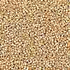 MIYUKI Delica Beads X-SEED-J020-DB2501-2