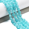 Natural Amazonite Beads Strands G-C179-A12-02-1