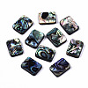 Natural Abalone Shell/Paua Shell Beads SSHEL-T014-11B-1