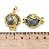 Natural Labradorite Flat Round Shaped Brass Pendants KK-F887-03G-27-3