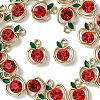 Alloy Rhinestone Pendants LS-PALLOY-CJC0006-71-1