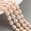 Natural Cultured Freshwater Pearl Beads Strands PEAR-P062-08I-2